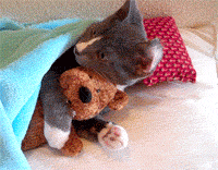 th_tumblr_lcvh4nb20A1qzevzoo1_250.gif
